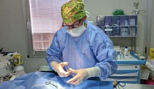 Veterinario ambulatorio