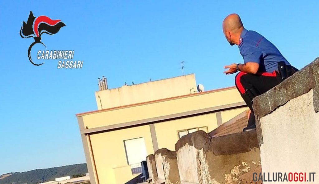 Carabinieri eroi a Olbia, salvano una donna dal gesto estremo