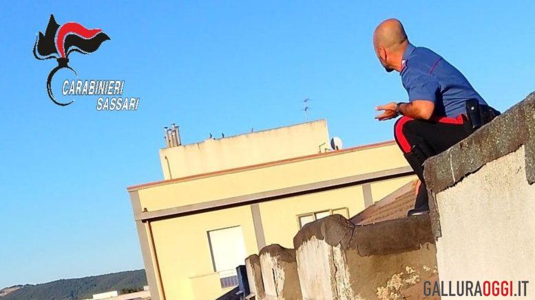 Carabinieri eroi a Olbia, salvano una donna dal gesto estremo