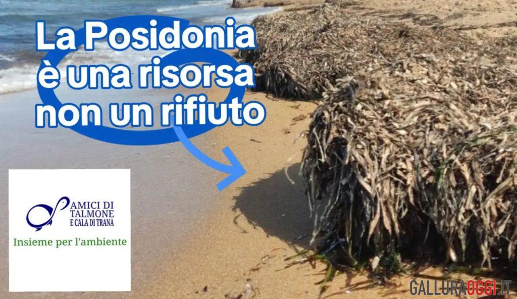Comitato ambientalista contesta la rimozione della Posidonia a Palau