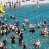 Gara di nuoto a Pittulongu, circuito da 3 chilometri e mezzo in mare aperto