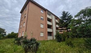 Rinnovarea Olbia