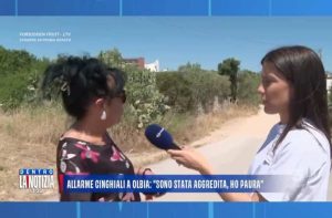 aggredita cinghiali olbia