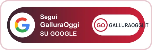 Segui GalluraOggi su Google