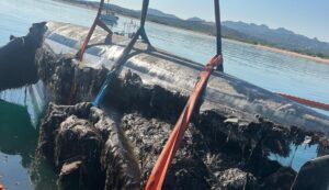 Incendio a Santa Teresa, a fuoco un trimarano