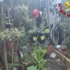 Incendio appartamento Palau