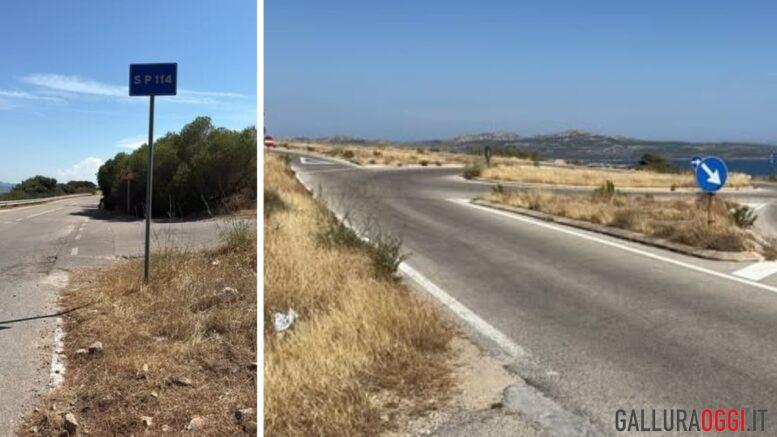 strade provinciali erbacce la maddalena pulizia