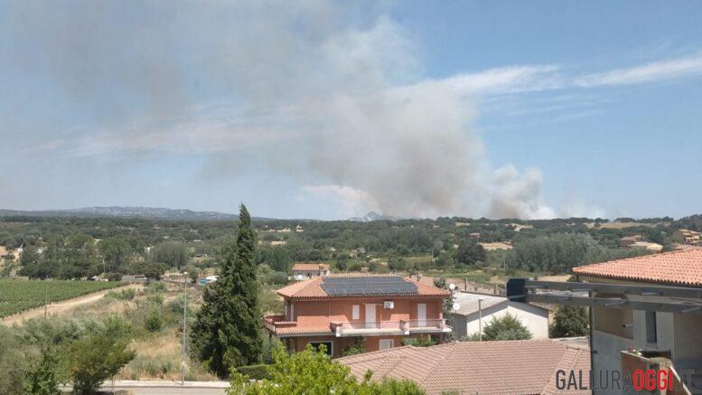 incendio monti