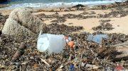 pulizia spiaggia