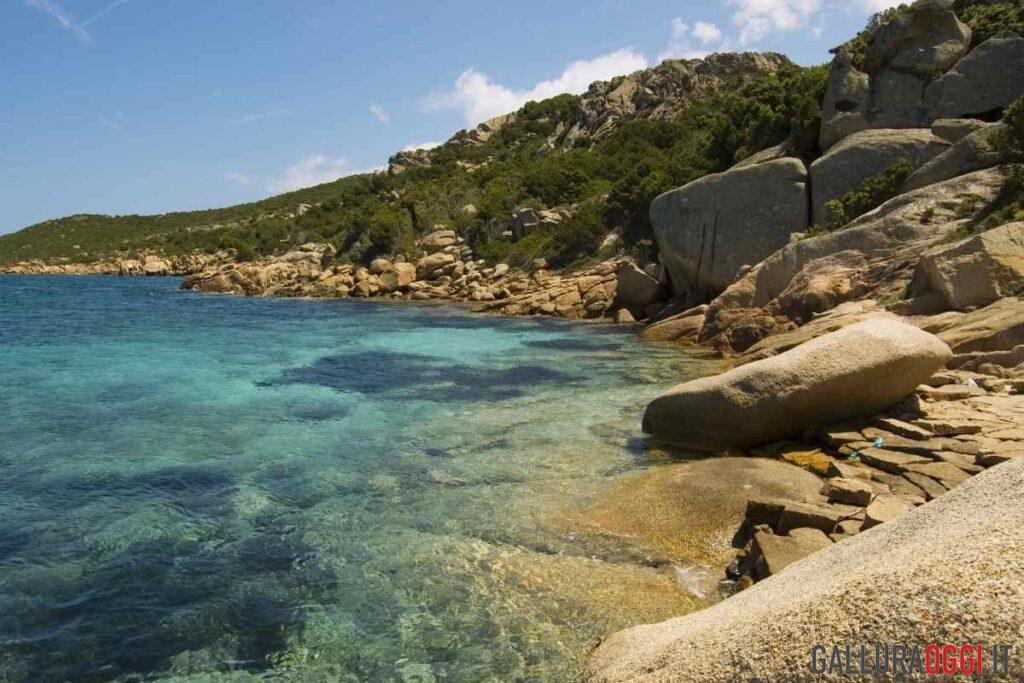 A Palau la tutela del mare comincia da bambini: il progetto