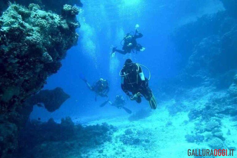 corsi gratuiti arzachena sub