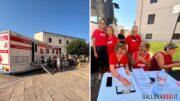 Avis Olbia raccolta sangue