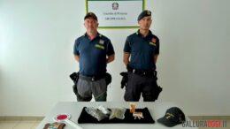 Beccato con mezzo chilo di droga al porto di Olbia, arrestato
