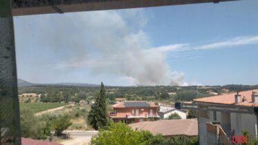 Incendio nelle campagne di Monti, squadre al lavoro sulle fiamme