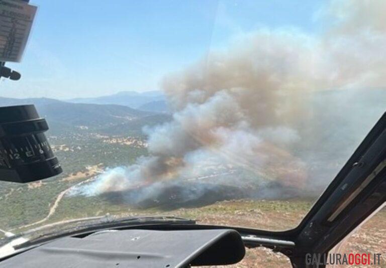 incendio padru corpo forestale