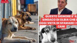 cani randagi olbia nizzi lida rizzi