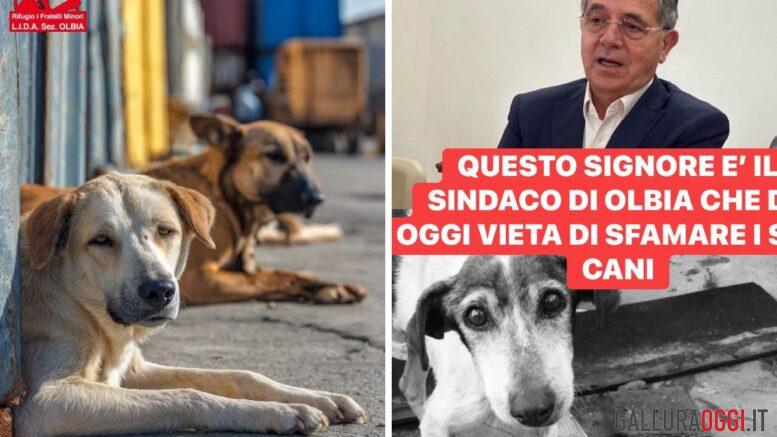 cani randagi olbia nizzi lida rizzi