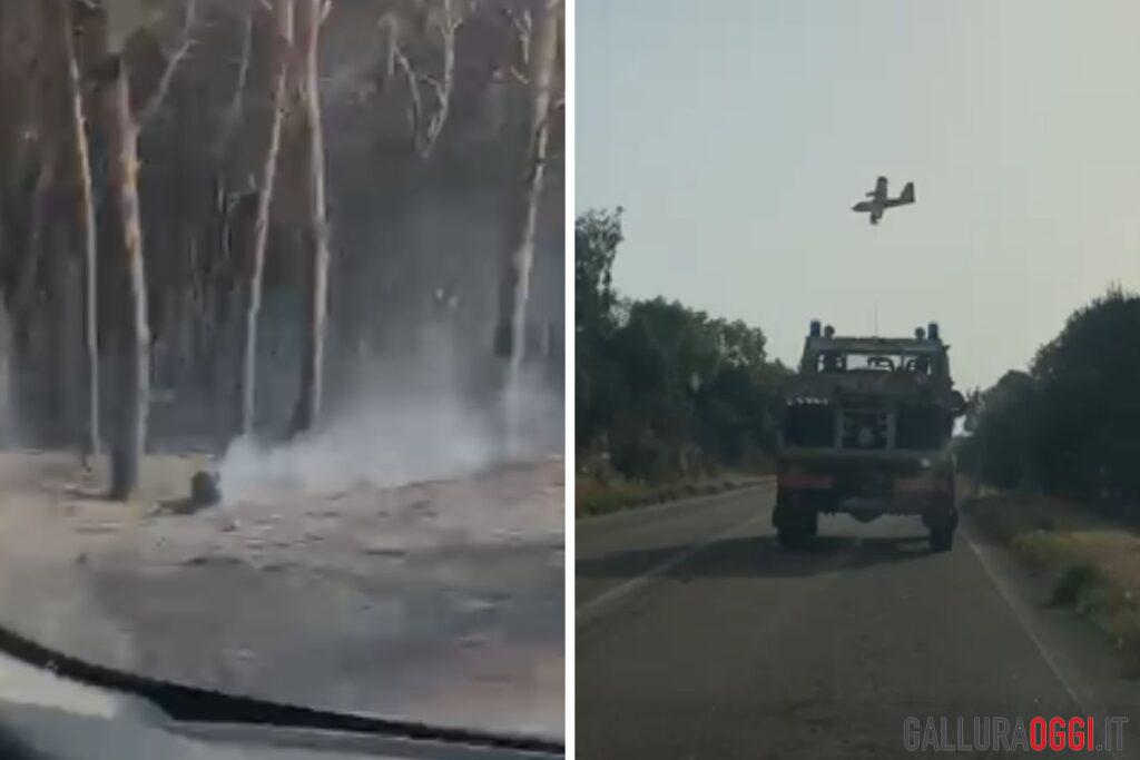 incendio aglientu pineta canadair giorno dopo, 14 luglio 2026