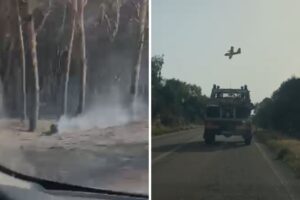incendio aglientu pineta canadair giorno dopo, 14 luglio 2026