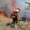 INCEnDIO CALANGIANUS foto repertorio