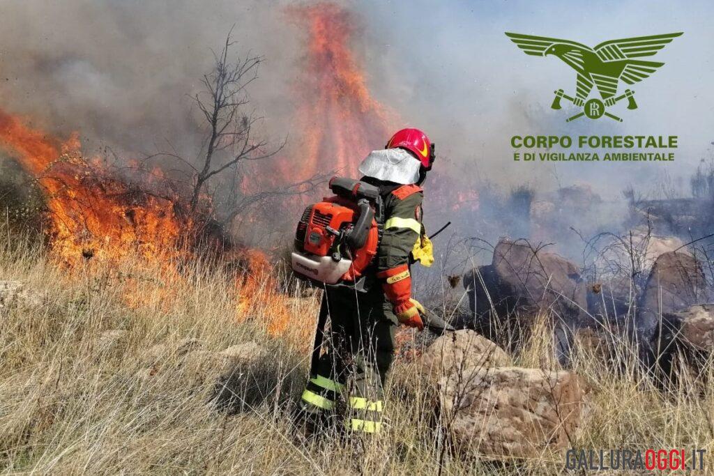 INCEnDIO CALANGIANUS foto repertorio