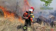 INCEnDIO CALANGIANUS foto repertorio