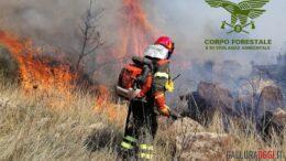 INCEnDIO CALANGIANUS foto repertorio