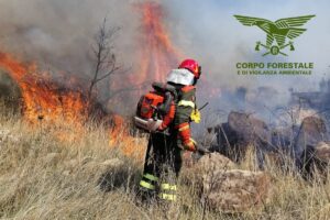 INCEnDIO CALANGIANUS foto repertorio