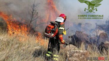 INCEnDIO CALANGIANUS foto repertorio