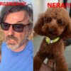 Alberto rossi perde il cane