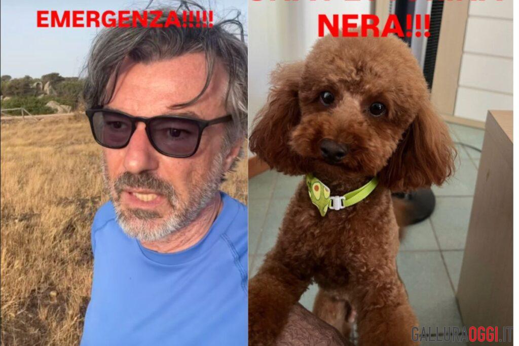 Alberto rossi perde il cane