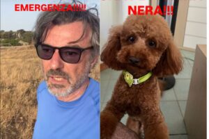 Alberto rossi perde il cane