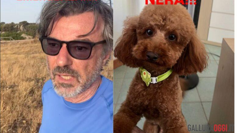 Alberto rossi perde il cane