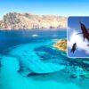 turista muore molara gommone elisoccorso