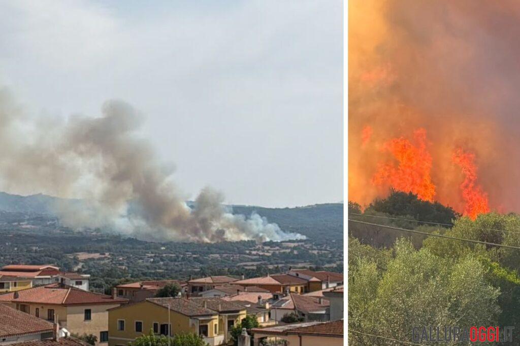 incendio arzachena luogosanto capichera