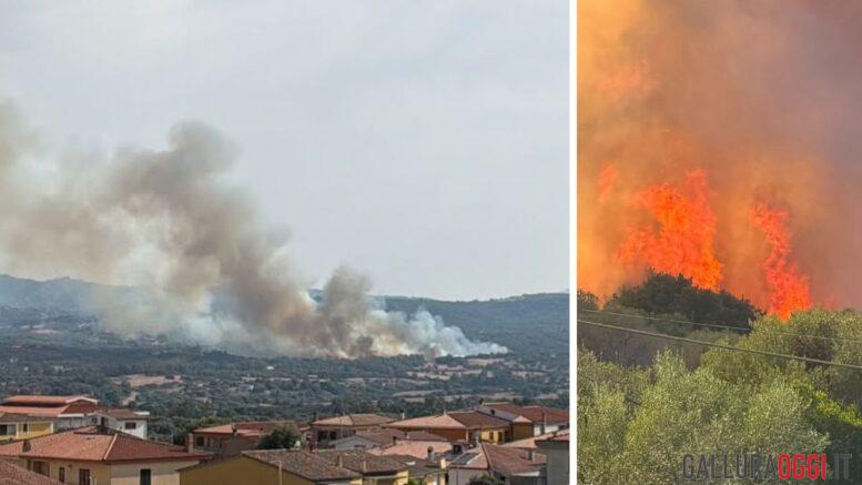 incendio arzachena luogosanto capichera