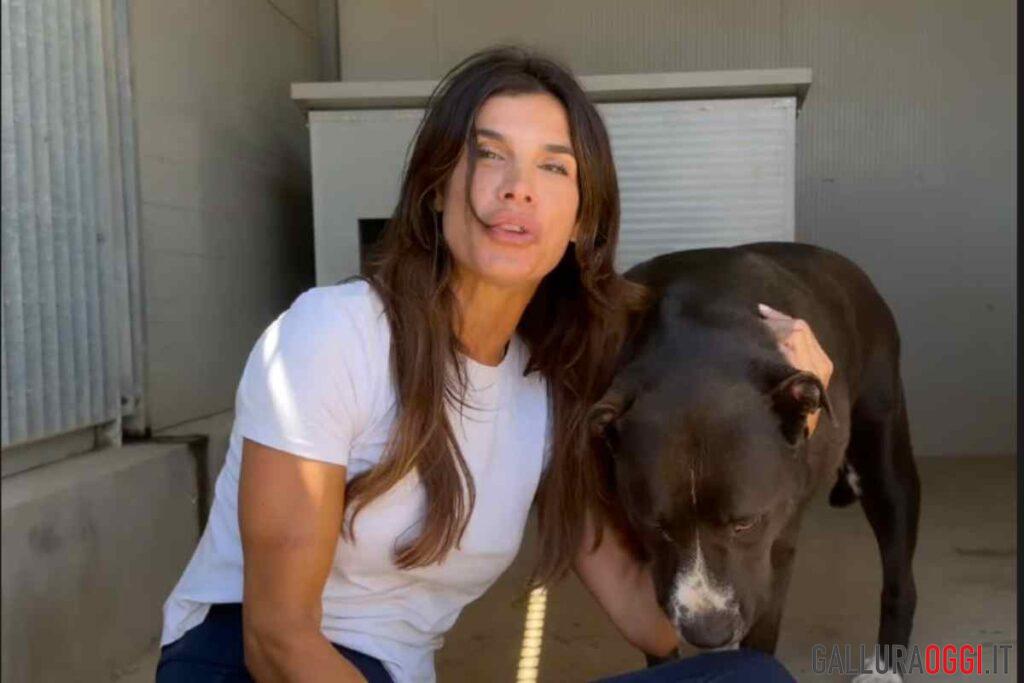 Elisabetta canalis
