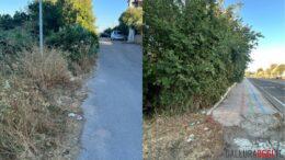 sterpaglie olbia