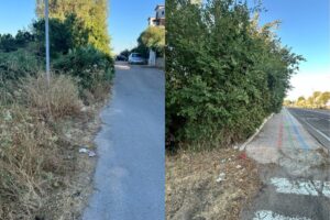 sterpaglie olbia