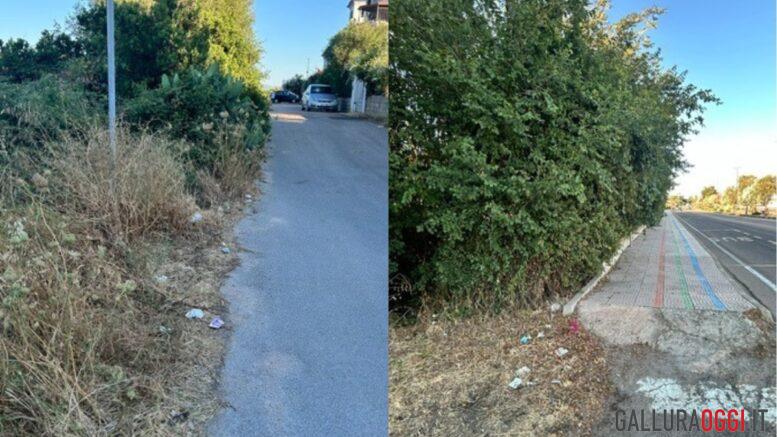 sterpaglie olbia