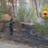 incendio aglientu