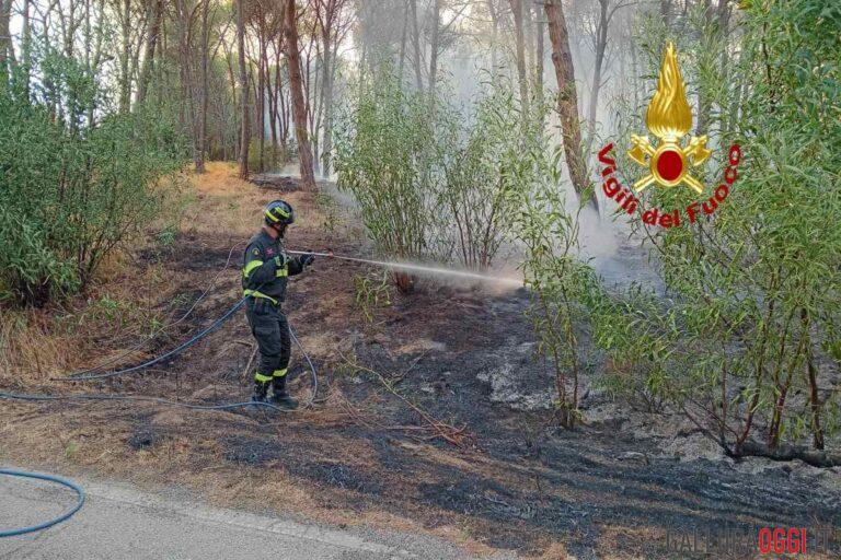 incendio aglientu