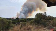 Incendio Aglientu