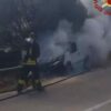 incendio arzachena