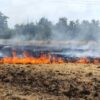 incendio