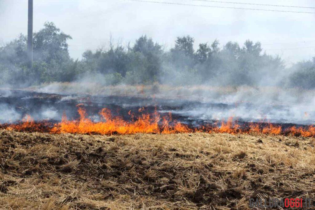 Incendio campagna