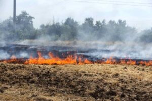 Incendio campagna