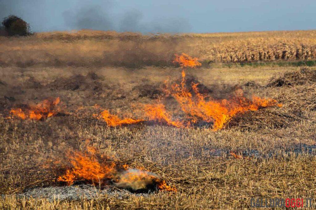 Incendio erba