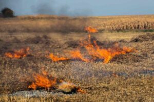 Incendio erba
