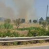 incendio mater olbia lido del sole padrongianus